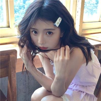 动物管制官第三季